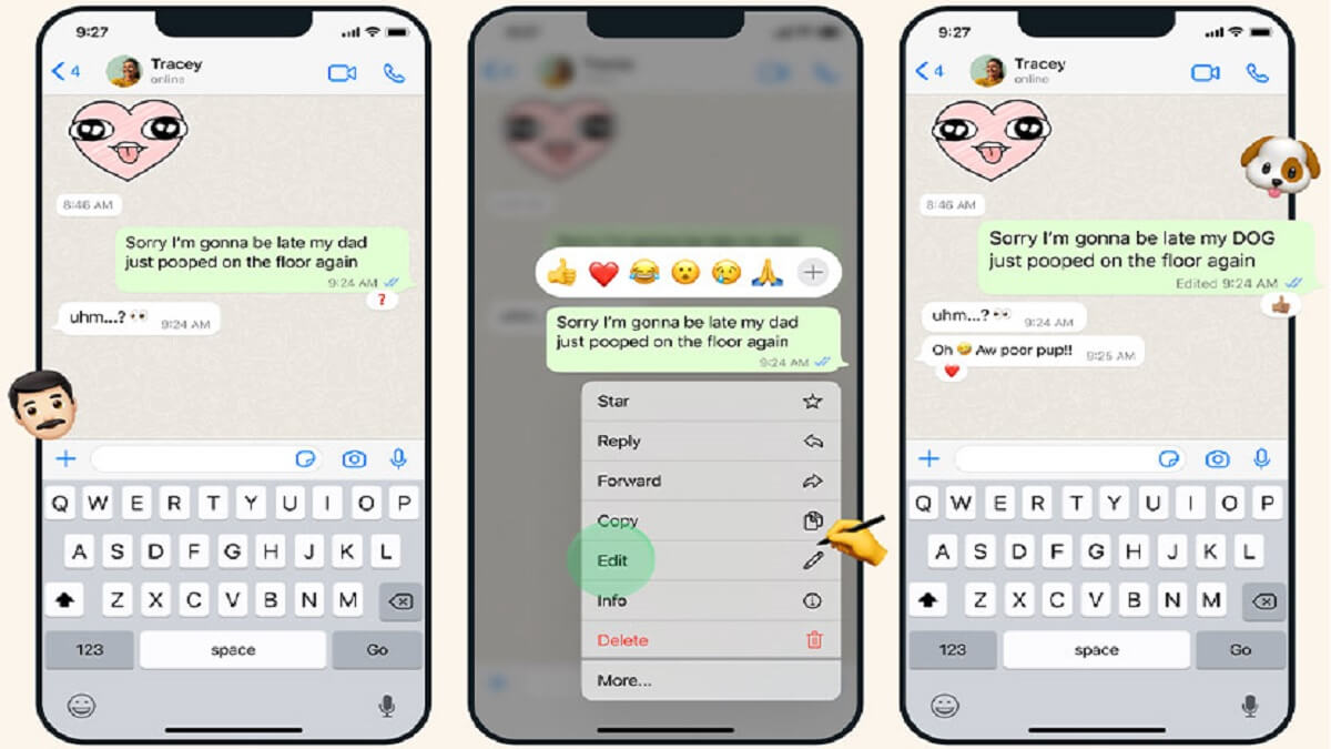 Whatsapp'ta Gönderilen Mesaj Nasıl Değiştirilir
